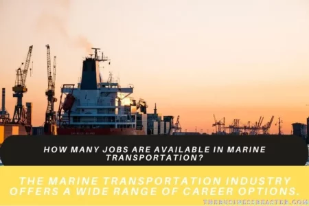 How Many Jobs Are Available In Marine Transportation?