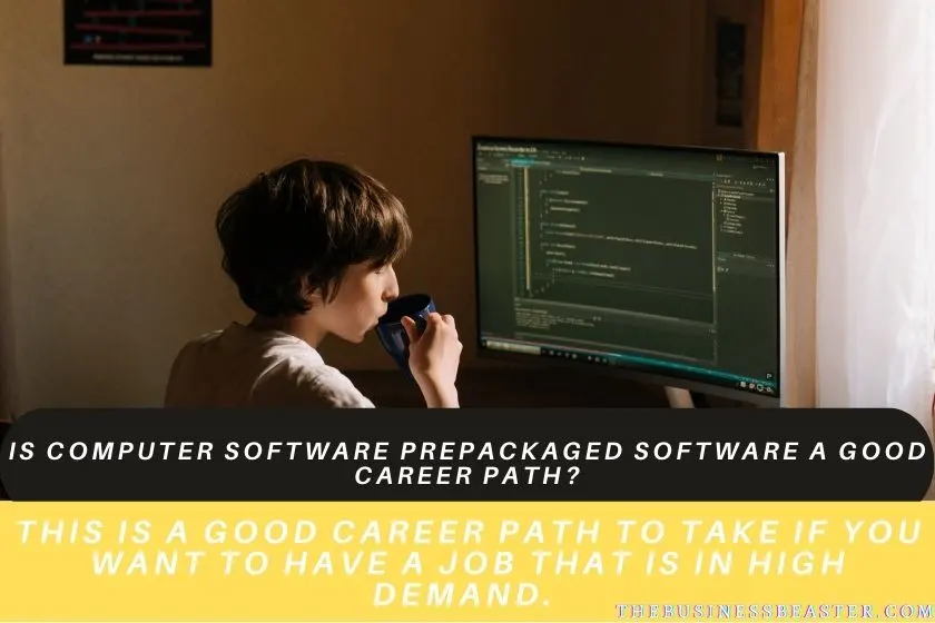 Is Computer Software Prepackaged Software A Good Career Path?