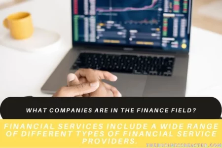What Companies Are In The Finance Field?