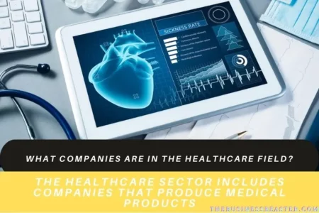 What Companies Are In The Healthcare Field?