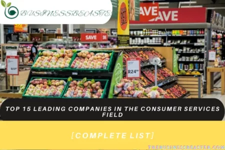 Top 15 Leading Companies in the Consumer Services Field